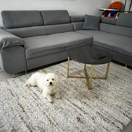 Mabu Apartment Brasov